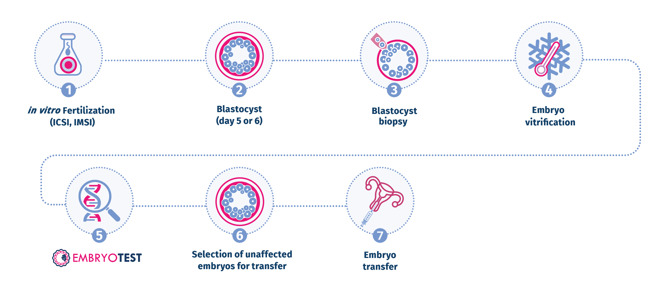 Come si esegue EmbryoTest